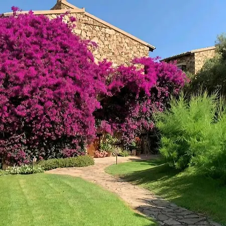 Welcomely - Petra - Country Di * Porto Rotondo